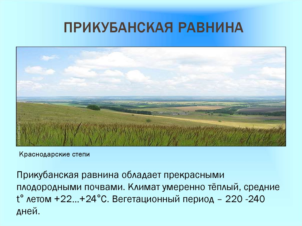 Краснодарский край низменность. Краснодарский край Прикубанская низменность. Таблица природные комплексы Северного Кавказа Прикубанская равнина. Прикубанская равнина. Равнины Краснодарского края.