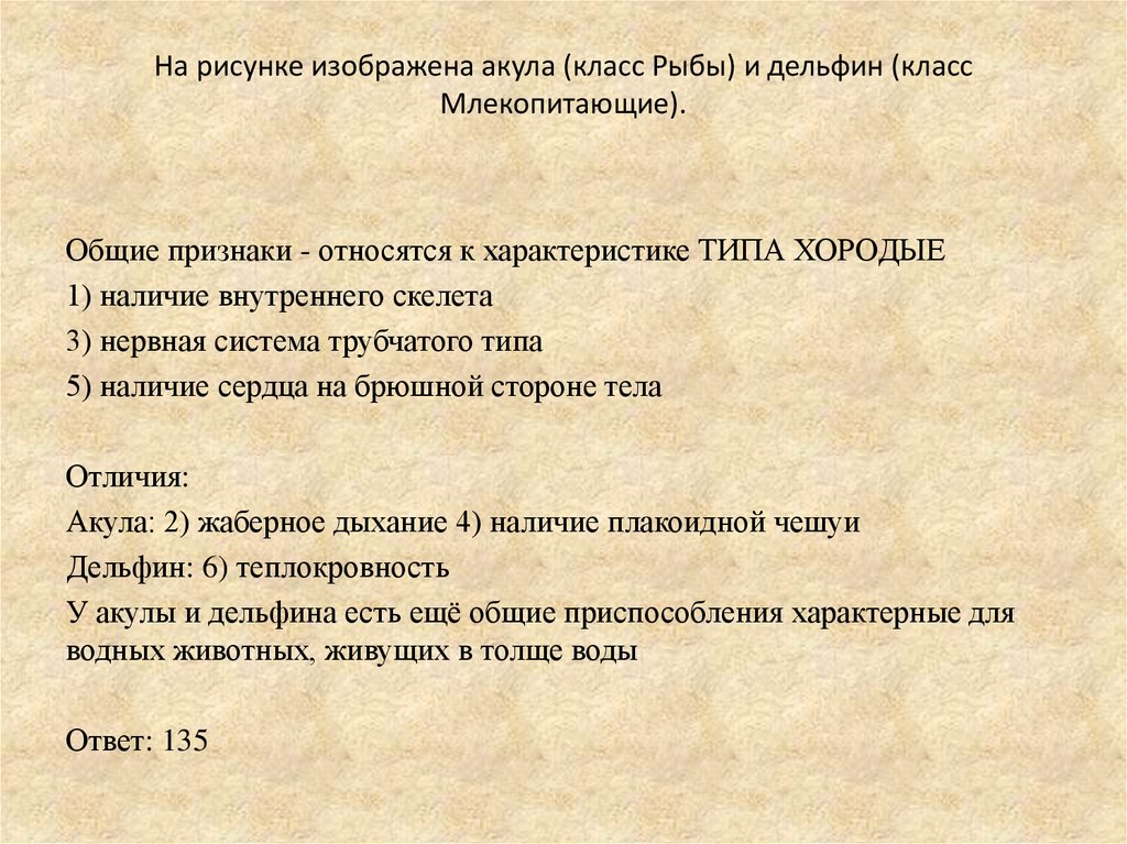 На каком рисунке изображено животное у которого нет наружного хитинового скелета