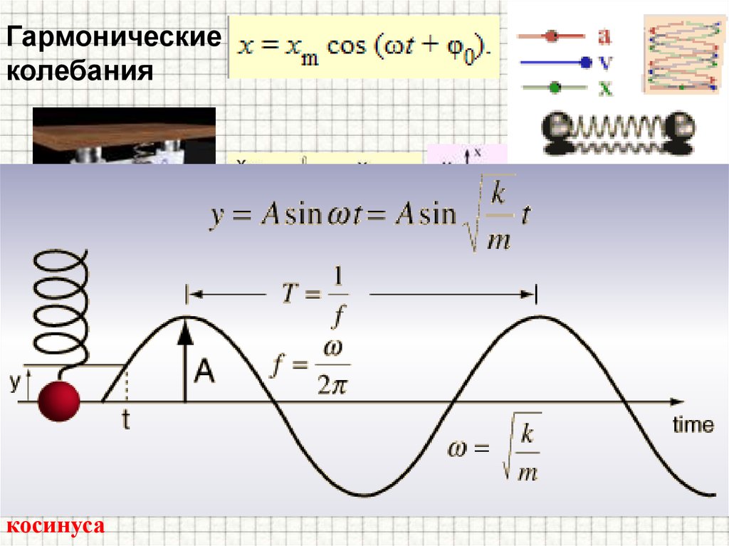 Гармонические колебания класс физика. Гармонические колебания физика 9 класс. Гармонические колебания и волны формулы. Гармонические синусоидальные колебания. Механические колебания гармонические колебания.