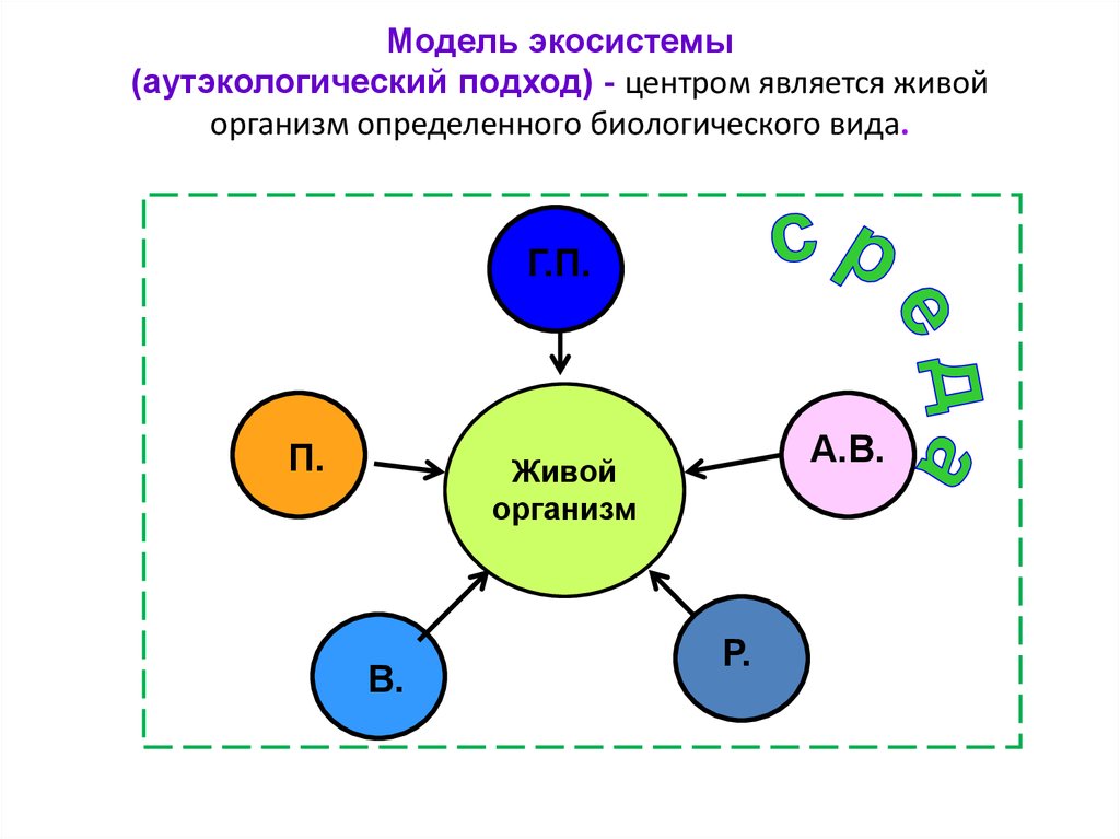 Слепая схема модели биогеоценоза