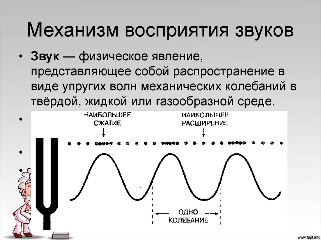 Слышимый звук имеет. Механизмы восприятия звуков разной частоты и силы. Механизм восприятия звуковой волны. Схема восприятия звука. Восприятие звуковых колебаний.