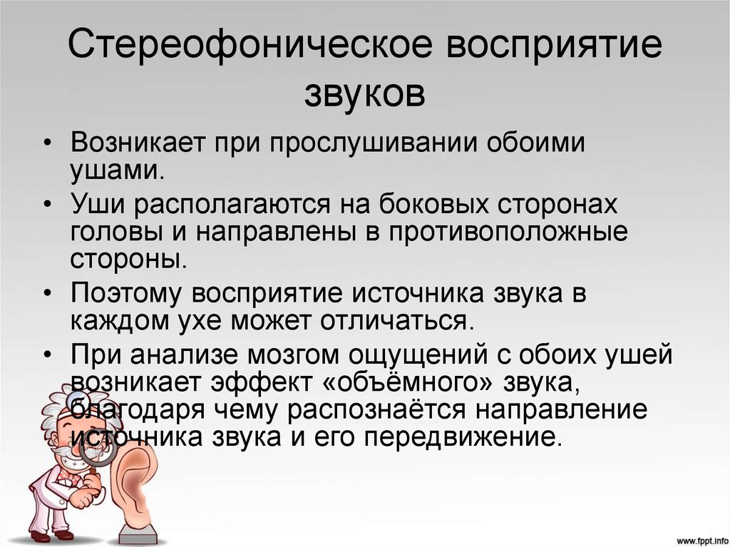 Звуковое восприятие. Стереофоническое восприятие звука. Источник звука восприятие. Восприятие шума. Стереофоническое восприятие звука анатомия.