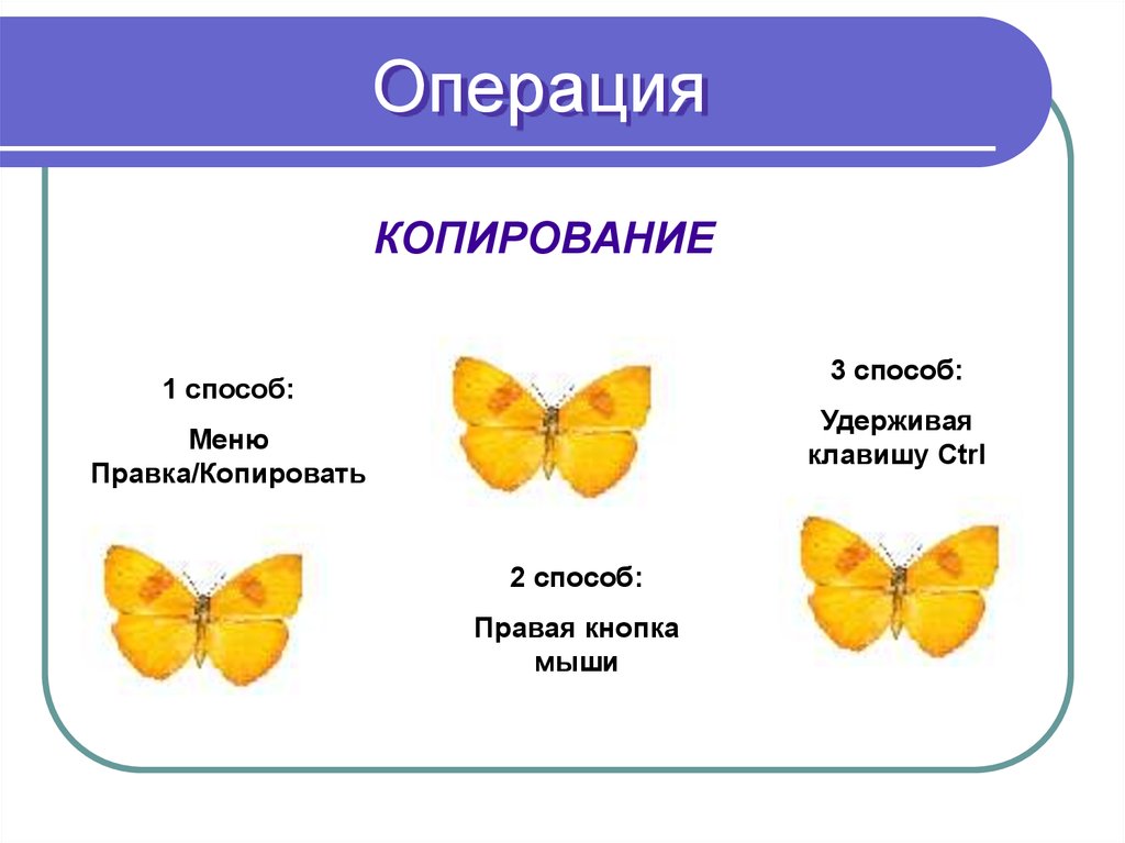 Дайте определение картинкам