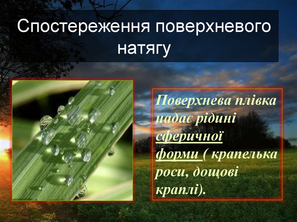 Спостереження поверхневого натягу