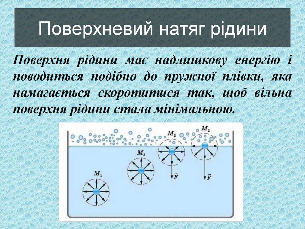 Поверхневий натяг рідини. Змочування та незмочування - online presentation