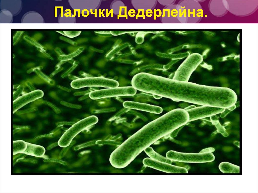 Мазок - презентация онлайн