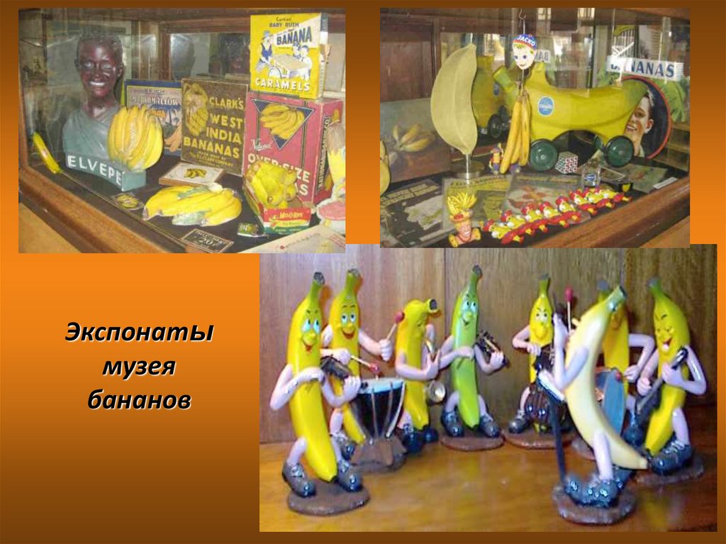 Экспонаты музея бананов