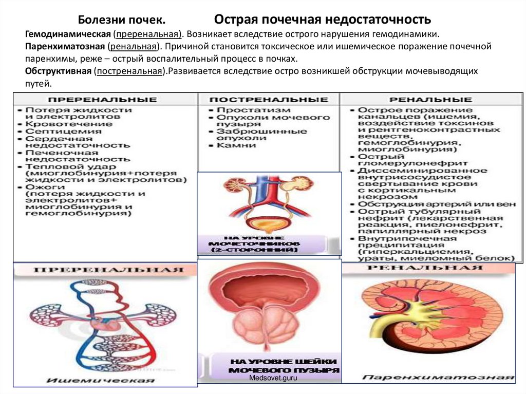 Изменения функции почек