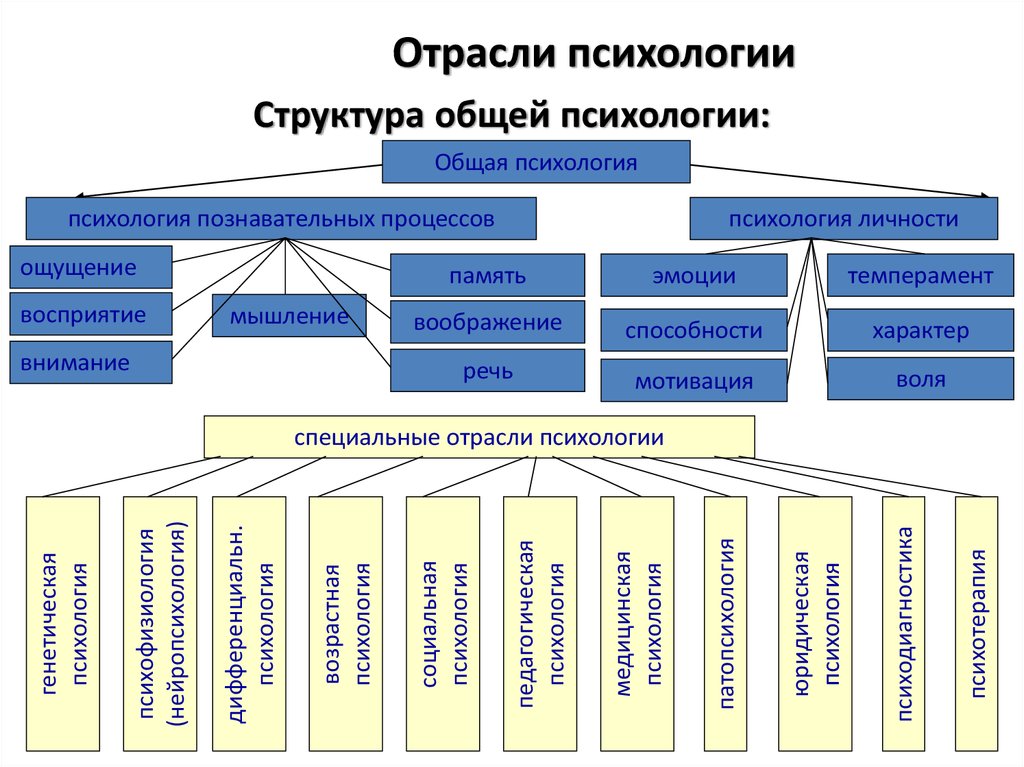 Структура психологии. Отрасли общей психологии таблица. Схема структуры психологической науки. Структура современной психологии схема. Структура и отрасли психологии..