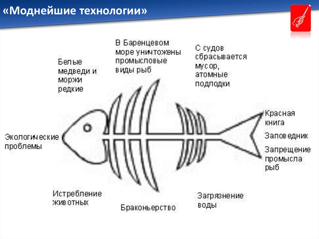 Схема рыбий скелет