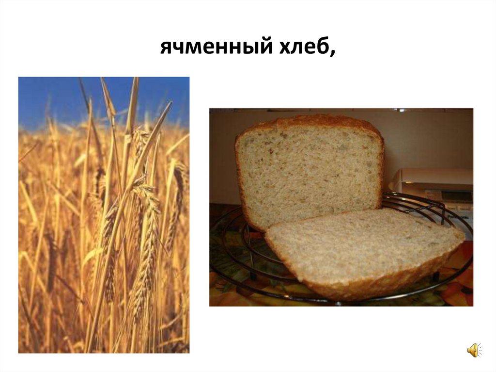 Ячменный хлеб