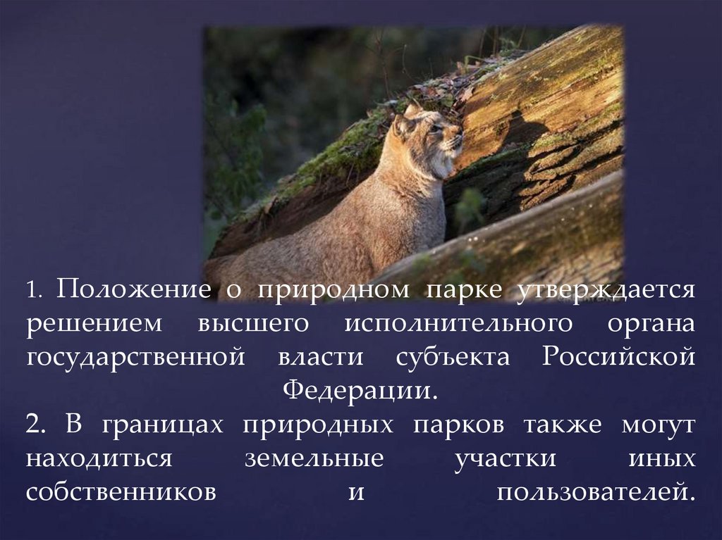 Особо охраняемые природные территории россии презентация 8. Текст для презентации п охране животных.