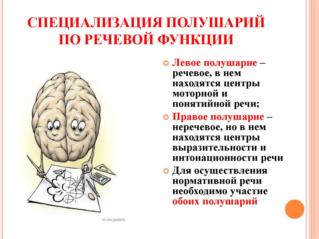 Функции полушарий мозга кратко. Речевые функции правого полушария. Функции полушарий мозга. Полушария мозга речь. Левое и правое полушарие речь.