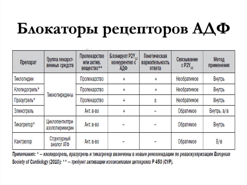 Блокаторы рецепторов