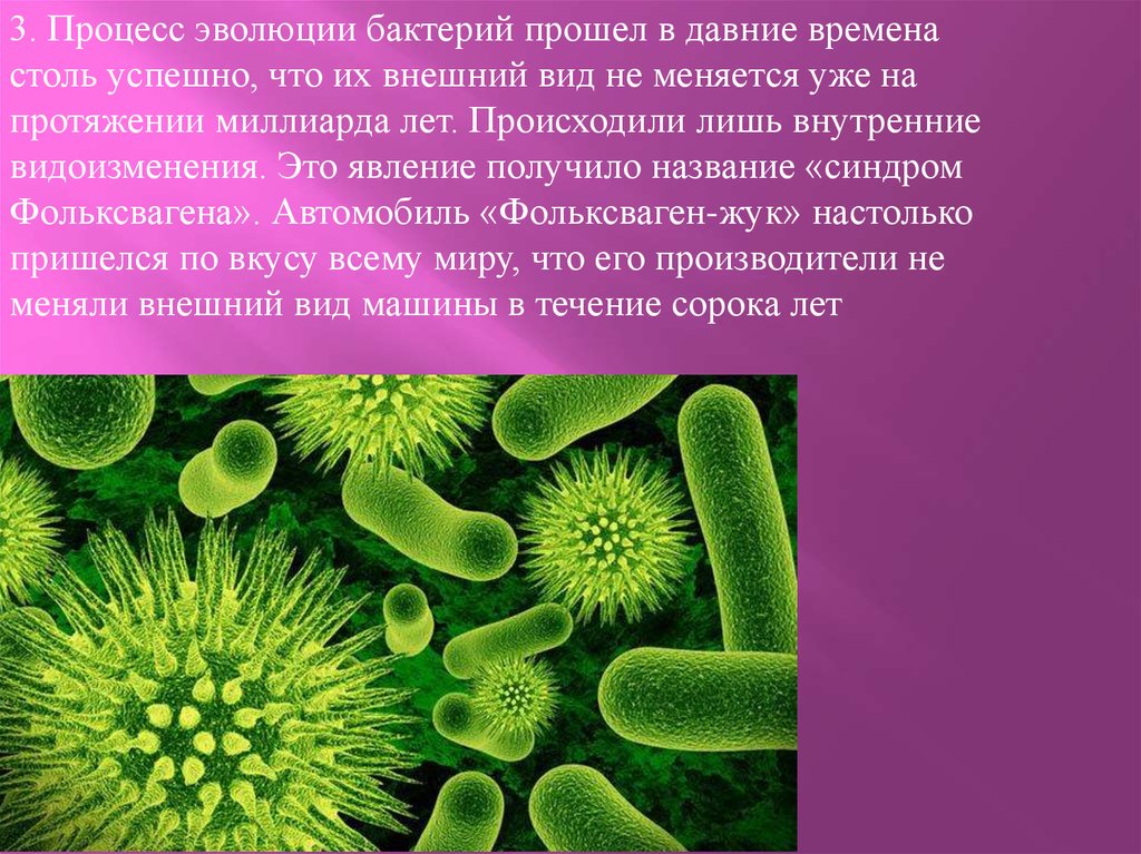 Урок биологии бактерии. Микробы для презентации. Бактерии презентация. Строение бактерии. Настоящие бактерии.