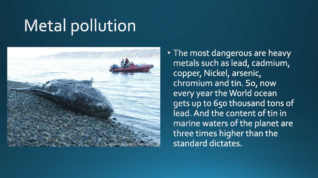 Metal pollution