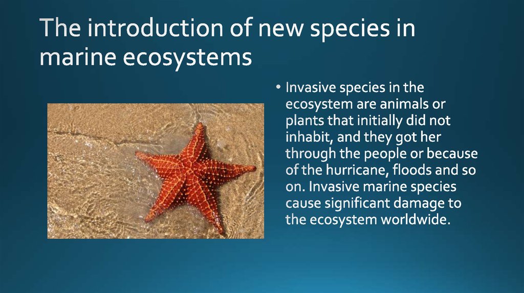 The introduction of new species in marine ecosystems