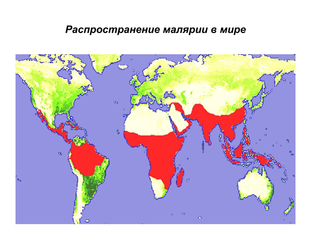 Малярия распространена. Малярия ареал распространения. Малярийный плазмодий ареал. Ареал обитания малярийных комаров. Географическое распространение малярийного комара.