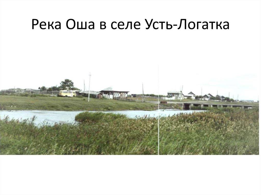 Река Оша в селе Усть-Логатка