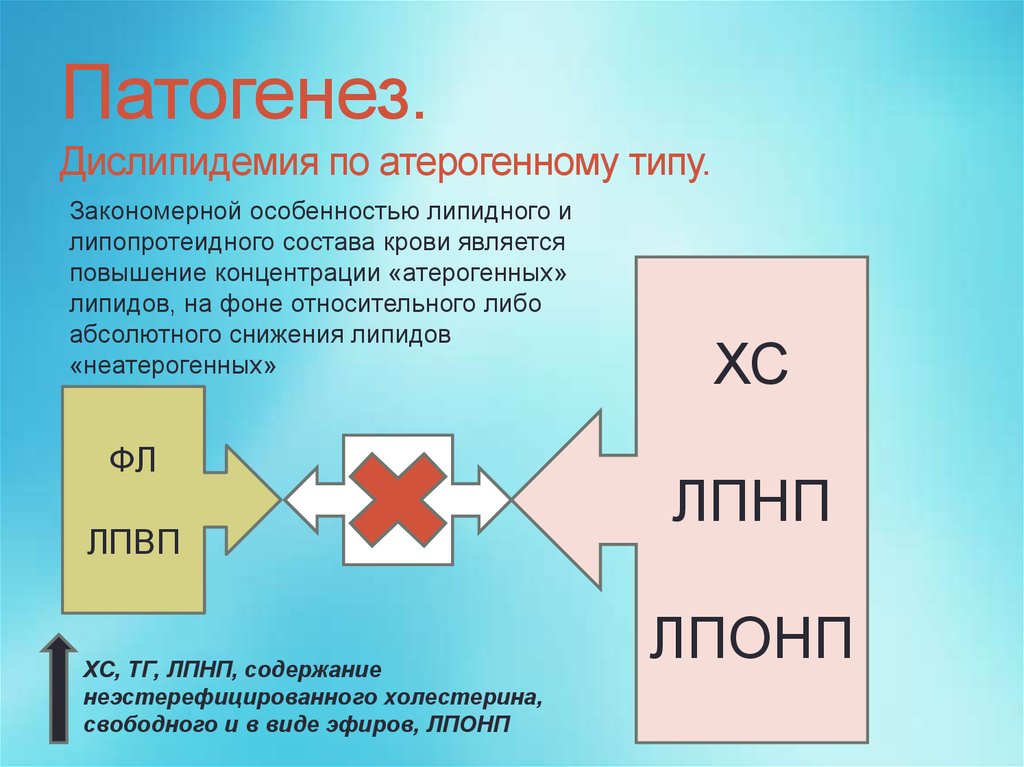 Вторичные дислипидемии. Дислипидемия патогенез. Патогенез дислипидемии. Дислипидемия этиология патогенез. Дислипопротеидемии механизмы развития..