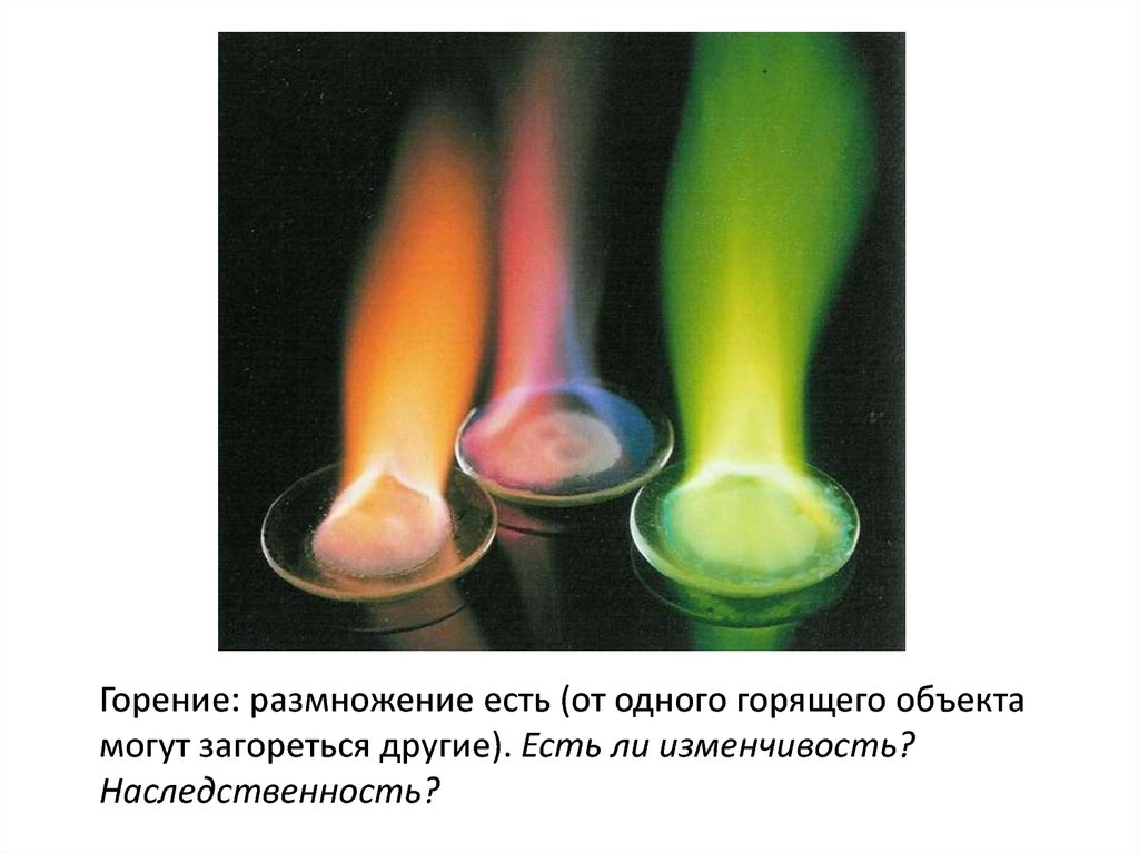 Соли калия окрашивают пламя в цвет