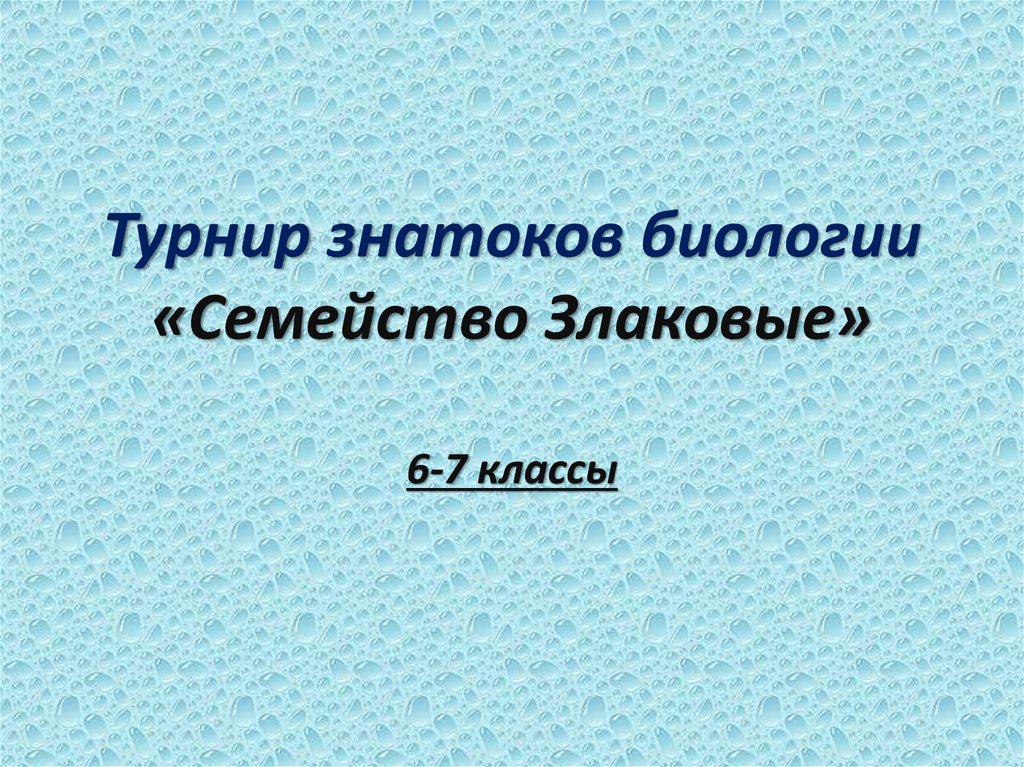 Презентация турнир знатоков