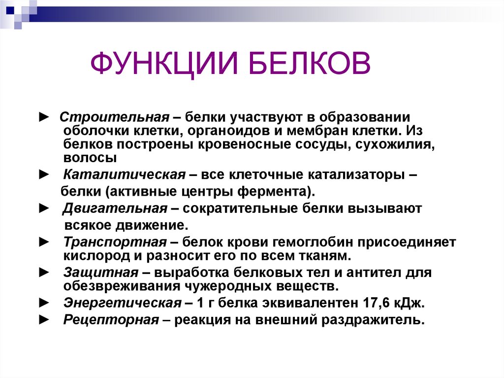 Участвует в образовании белков. Строительная функция белков. Функции белков. Строительная функция белка. Белки участвуют.