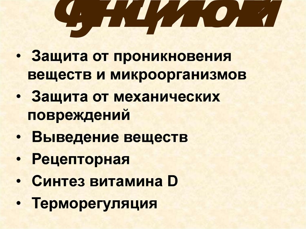 Функции кожи