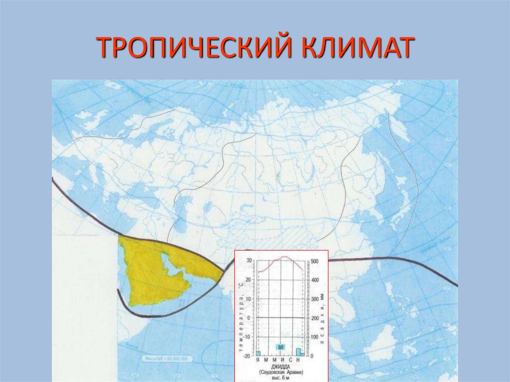 Тропический климат карта