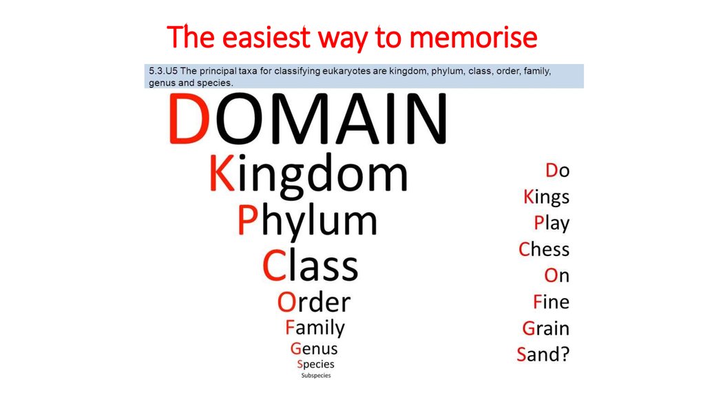 General Characteristics Of Kingdoms Online Presentation