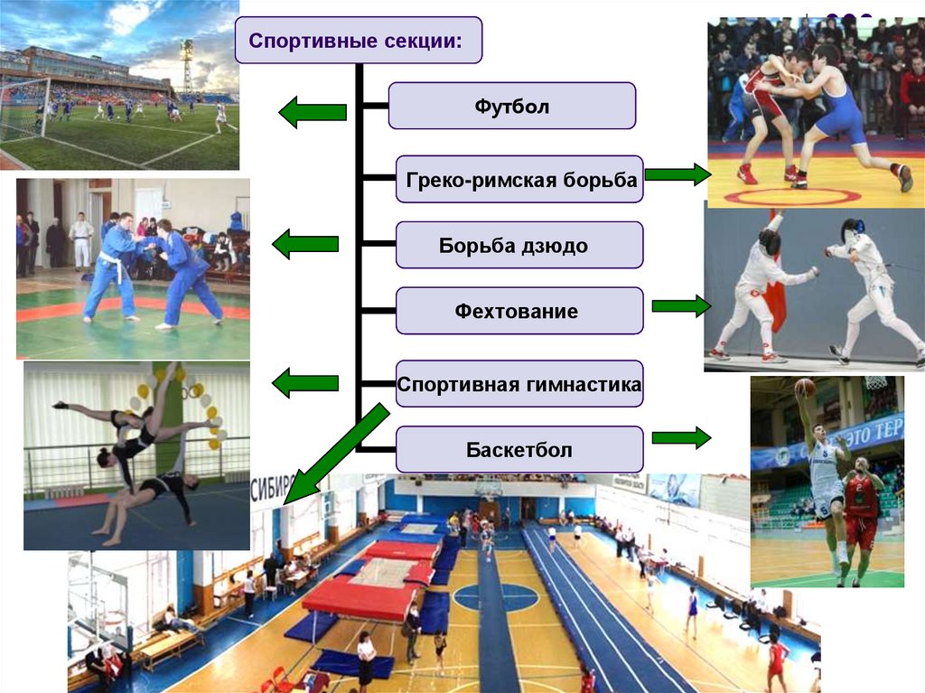 Спортивные секции проекты