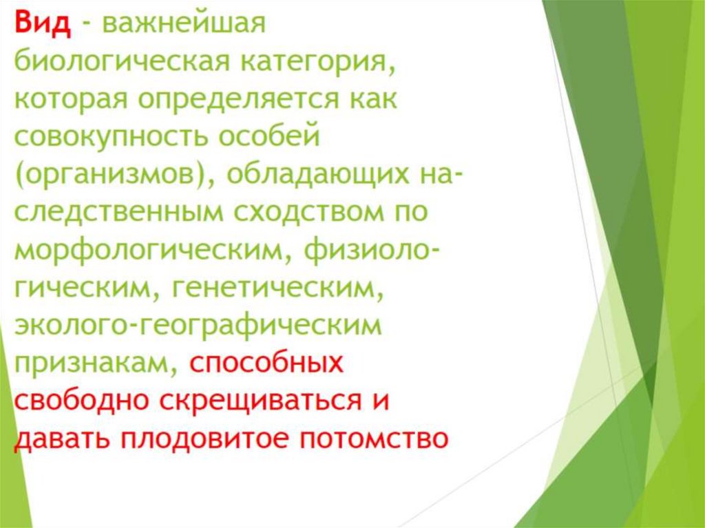 Особь организм. Биологические категории. Биология важное.