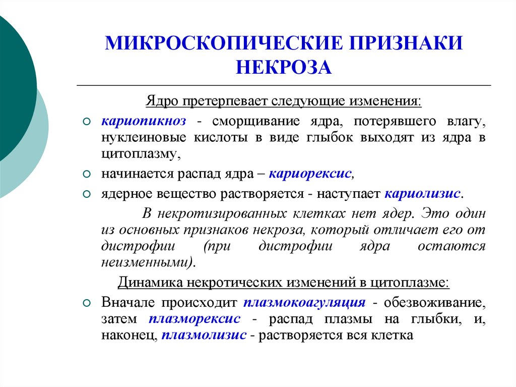 Признак изменения. Микроскопические признаки некроза. Микросклпические признаки невроз. Призеаки некроза микросокп. Микроскопические стадии некроза.