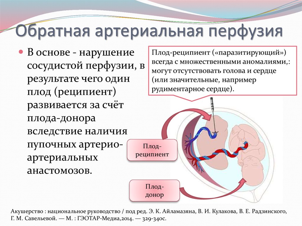 Дополнительные методы исследования внутриутробного состояния плода презентация