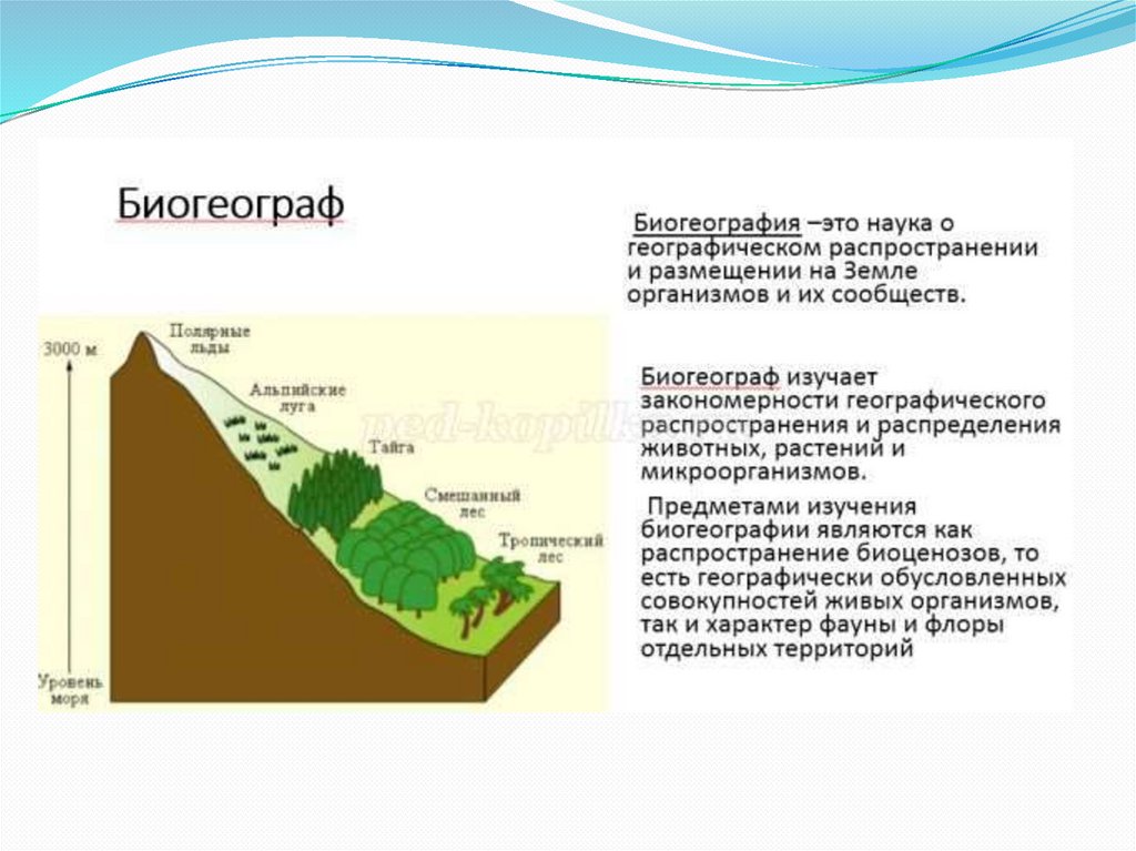 География выбора