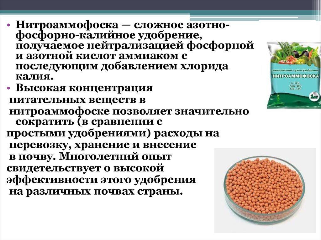 Микрофлора кормов и навоза презентация