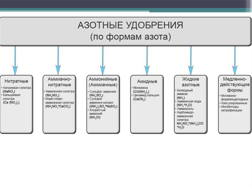 Виды азота. Классификация азотных удобрений таблица. Разновидность азотных удобрений. Азотные удобрения виды и классификация. Основные виды азотных удобрений.