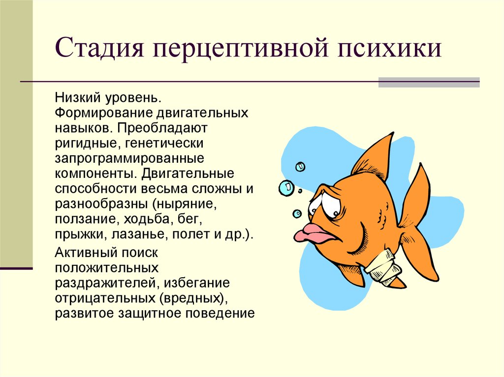 Стадии психики. Перцептивная стадия развития психики. Высший уровень перцептивной психики птицы. Низший уровень перцептивной психики. Стадия перцептивной психики низкий уровень.