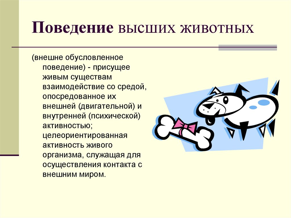 Поведение свойственно. Поведение высших животных. Поведение высших животных (внешне обусловленное поведение). Психическое поведение животных. Взаимосвязь психики и поведения животных.