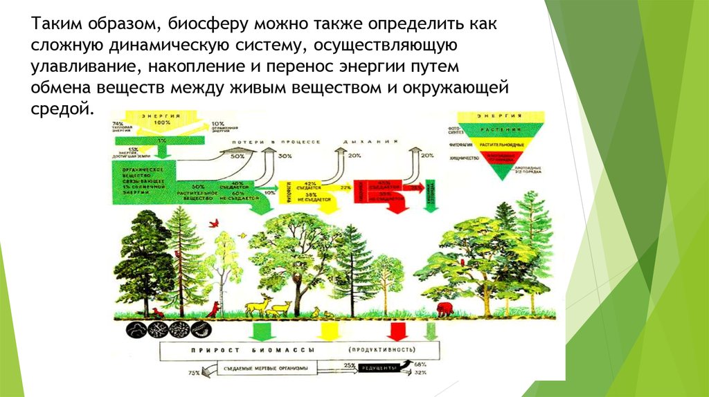 Ресурсы биосферы схема