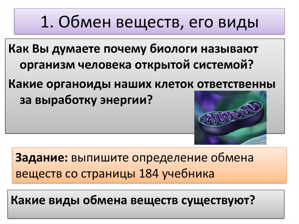 Обмен веществ презентация. Виды обмена веществ. Обмен веществ и его виды. Обмен веществ виды обмена веществ. Виды обмена веществ кратко.