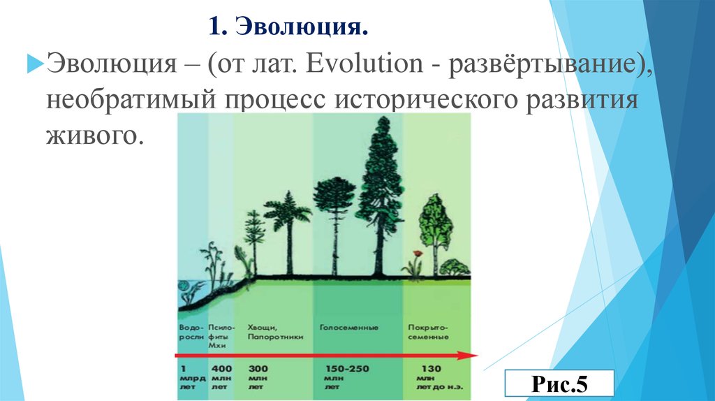 Основные этапы развития растений на земле 5 класс биология презентация