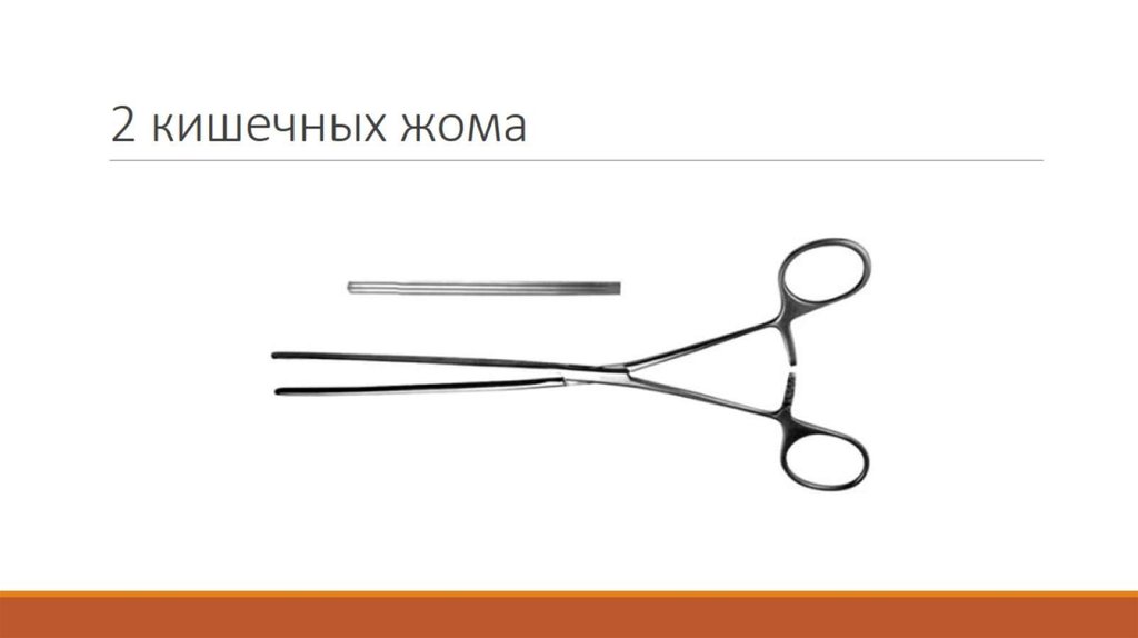 2 кишечных жома