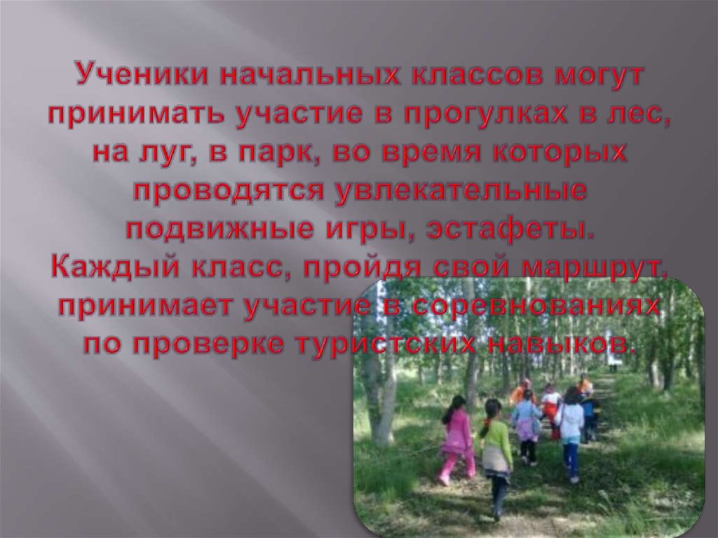 Ученики начальных классов могут принимать участие в прогулках в лес, на луг, в парк, во время которых проводятся увлекательные
