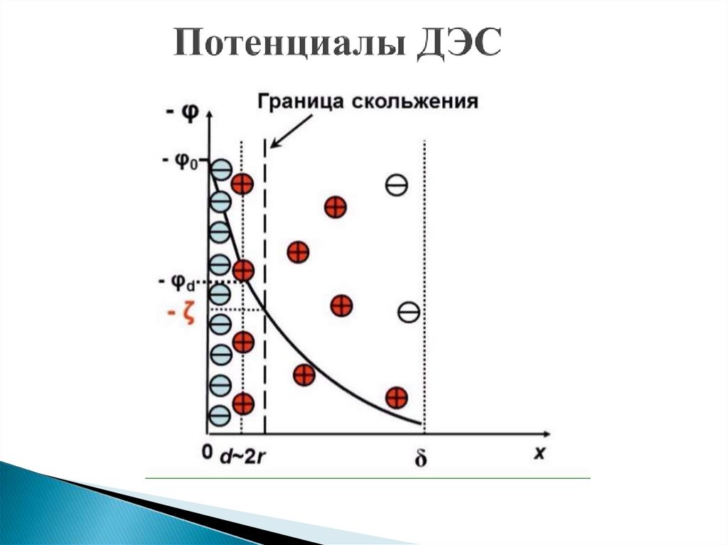 Потенциальный слой. Двойной электрический слой. Потенциалы ДЭС. ДЭС двойной электрический слой. Строение двойного электрического слоя ДЭС.