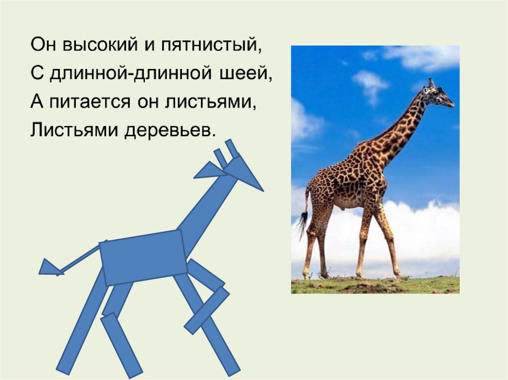 Все имеет свое строение 1 класс изо конспект урока и презентация