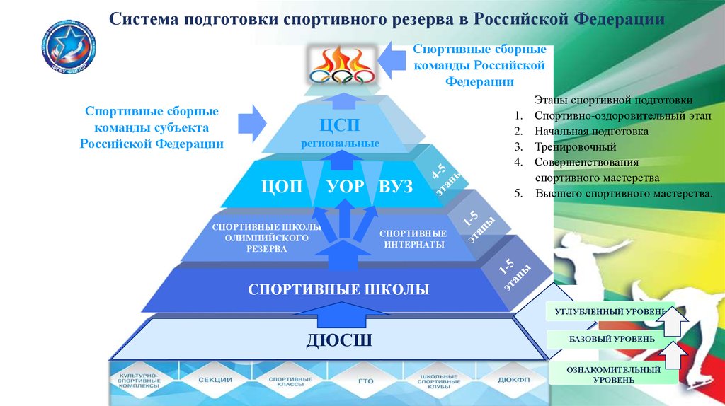 Схема компонентов системы спортивной подготовки