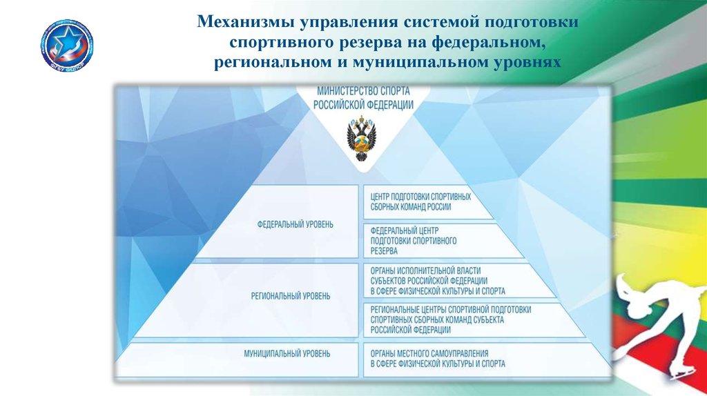 Организации спортивной подготовки в российской федерации