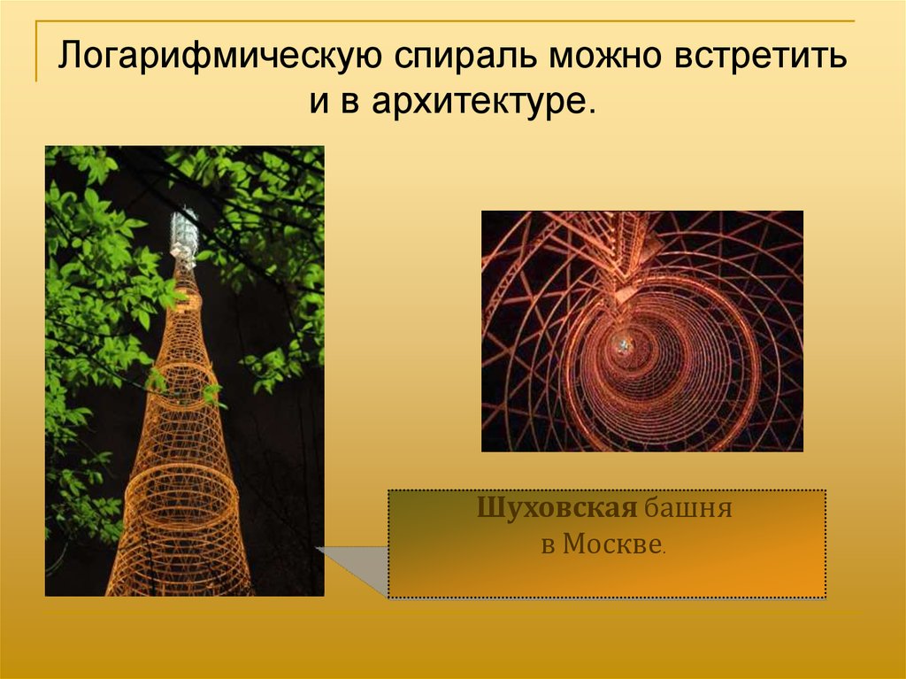 Логарифмы в природе. Логарифмическая спираль в архитектуре башня. Шуховская башня. Логарифмическая спираль в природе. Логарифмы в архитектуре.