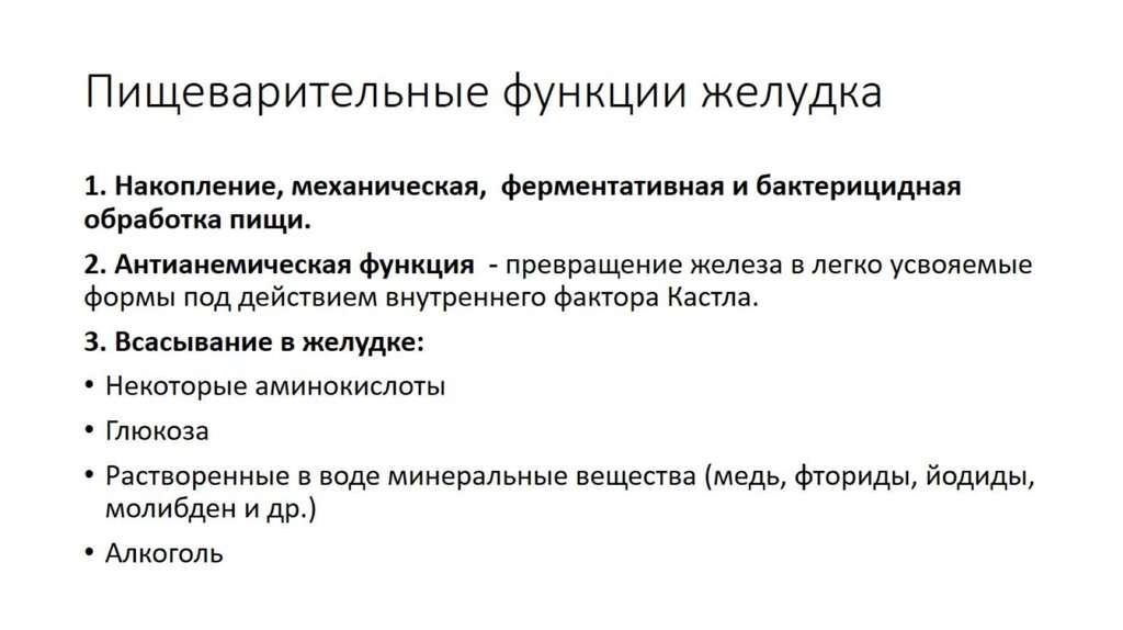 Желудок функции. Антианемическая функция желудка. Пищеварительные функции желудка. Механическая функция желудка. Антианемическая функция пищеварения.